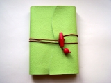 <h5>Liseuse cuir vert pomme et carnet coordonné</h5>